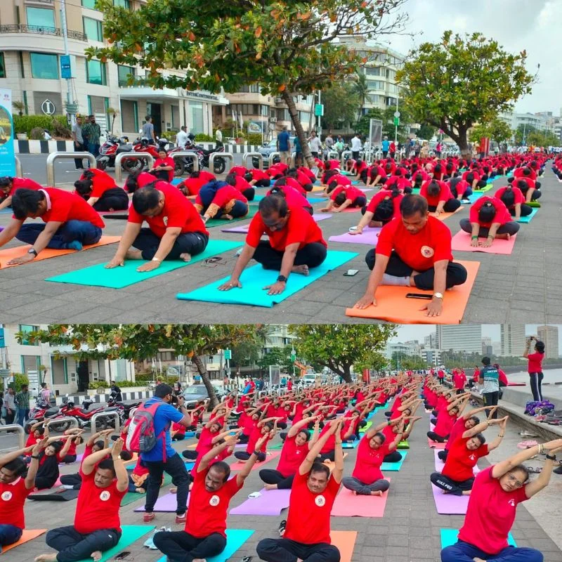 BMC Yoga Program