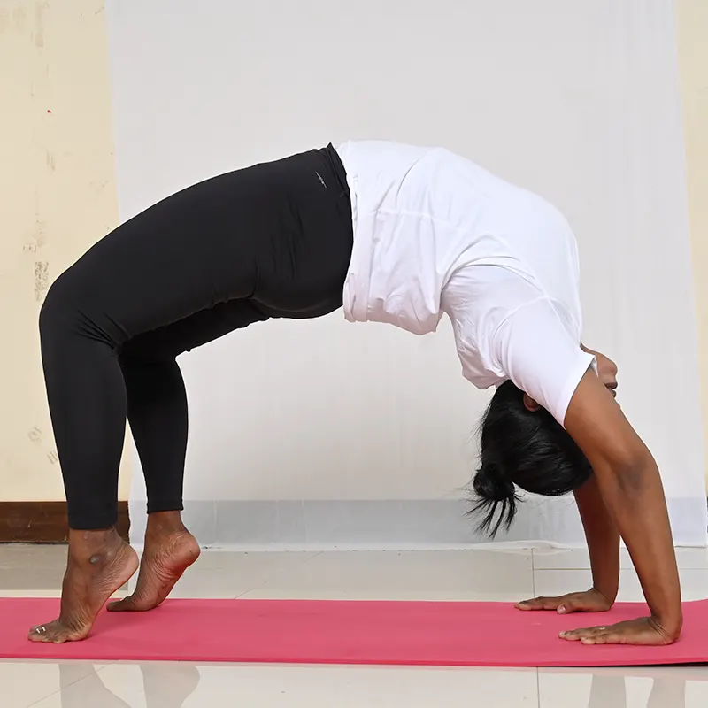Yoga Training